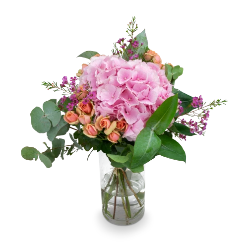 A bouquet of hydrangeas